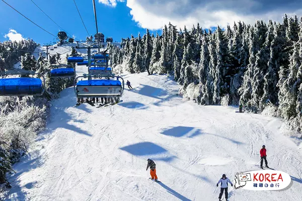 芝山滑雪場體驗之旅