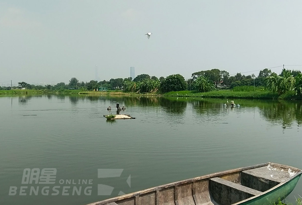 【農莊美食】南生圍蘆葦生態區、大棠有機生態園、恒香老婆餅廠、盆菜宴 一天遊 (包團)