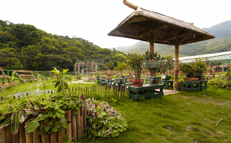 【農莊美食】沙頭角前禁區、坪洋壁畫村 一天遊 (BBQ / 盆菜宴) (包團)