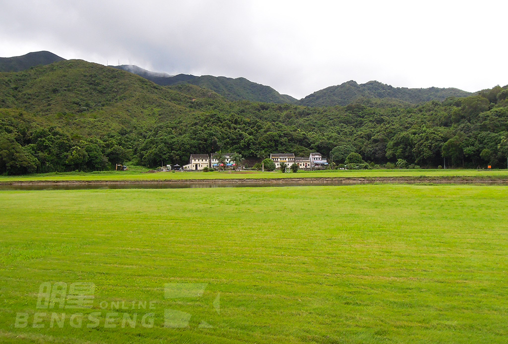 【自然風光】深涌草原、鴨洲島、塔門島 一天團 (包團)