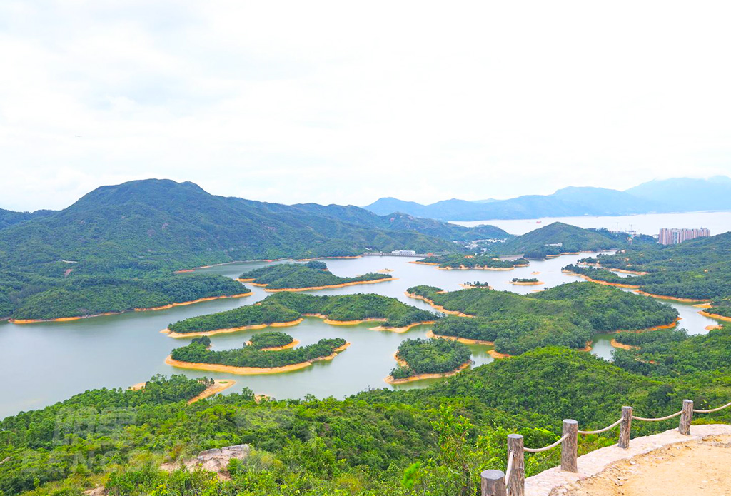 【自然風光】大欖涌水塘【千島湖】、朗屏葡萄園、流浮山海鮮餐 一天團 (包團)