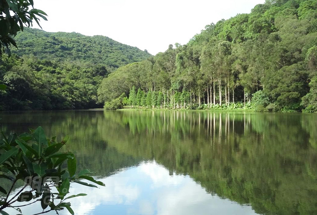 【導賞團】流水響天空之鏡、壽桃牌星級麵店、香港濕地公園、花膠鮑魚宴 一天團 (小型悠閒團)