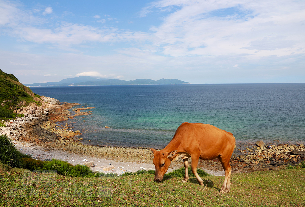 【自然風光】海下灣海岸公園、塔門島風味宴 一天團 (包團)