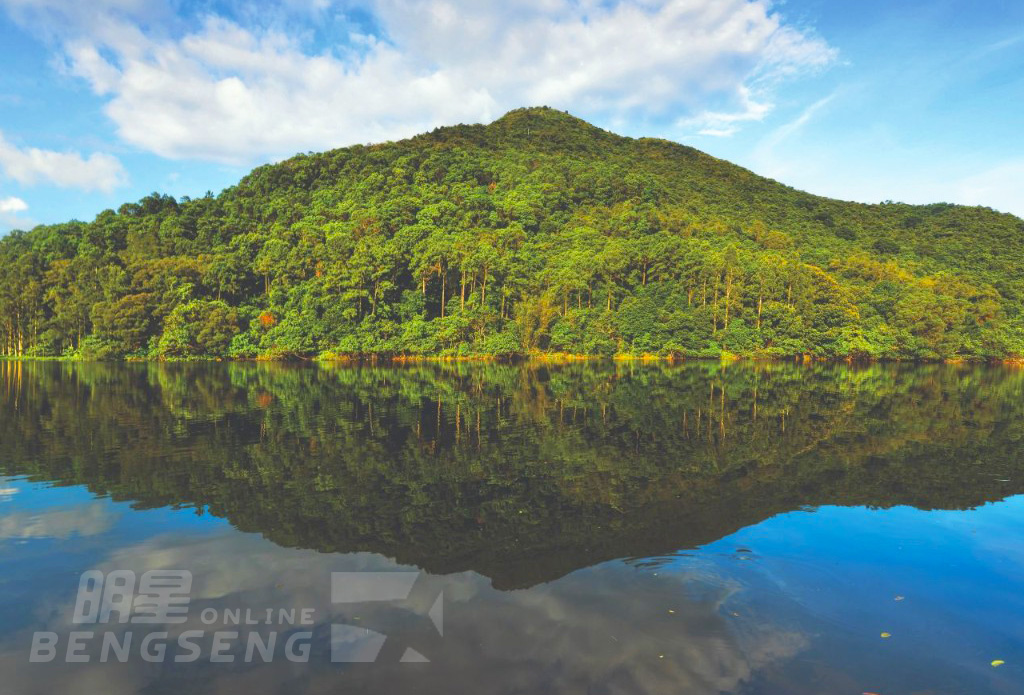 【導賞團】流水響天空之鏡、壽桃牌星級麵店、香港濕地公園、花膠鮑魚宴 一天團 (小型悠閒團)