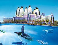 珠海長隆企鵝酒店暑假套票